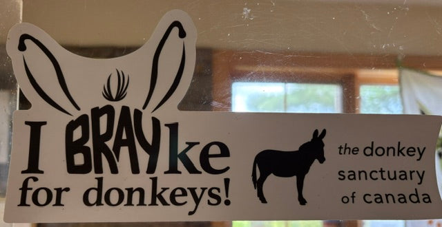 Bumper Sticker-I Brayke for donkeys!