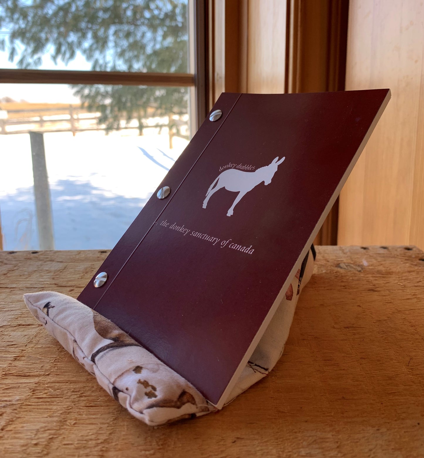 Phone and Book Holder
