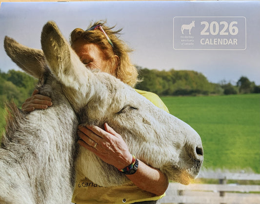 2026 DSC Calendar