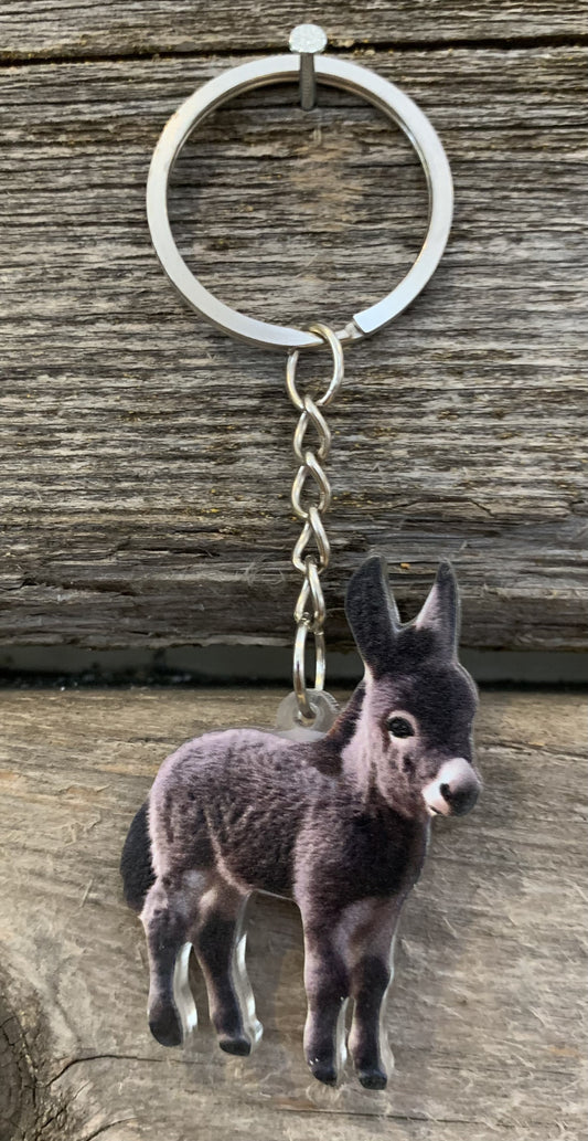 Donkey Keychain