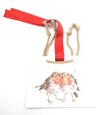 Wrendale Robins Gift Bag