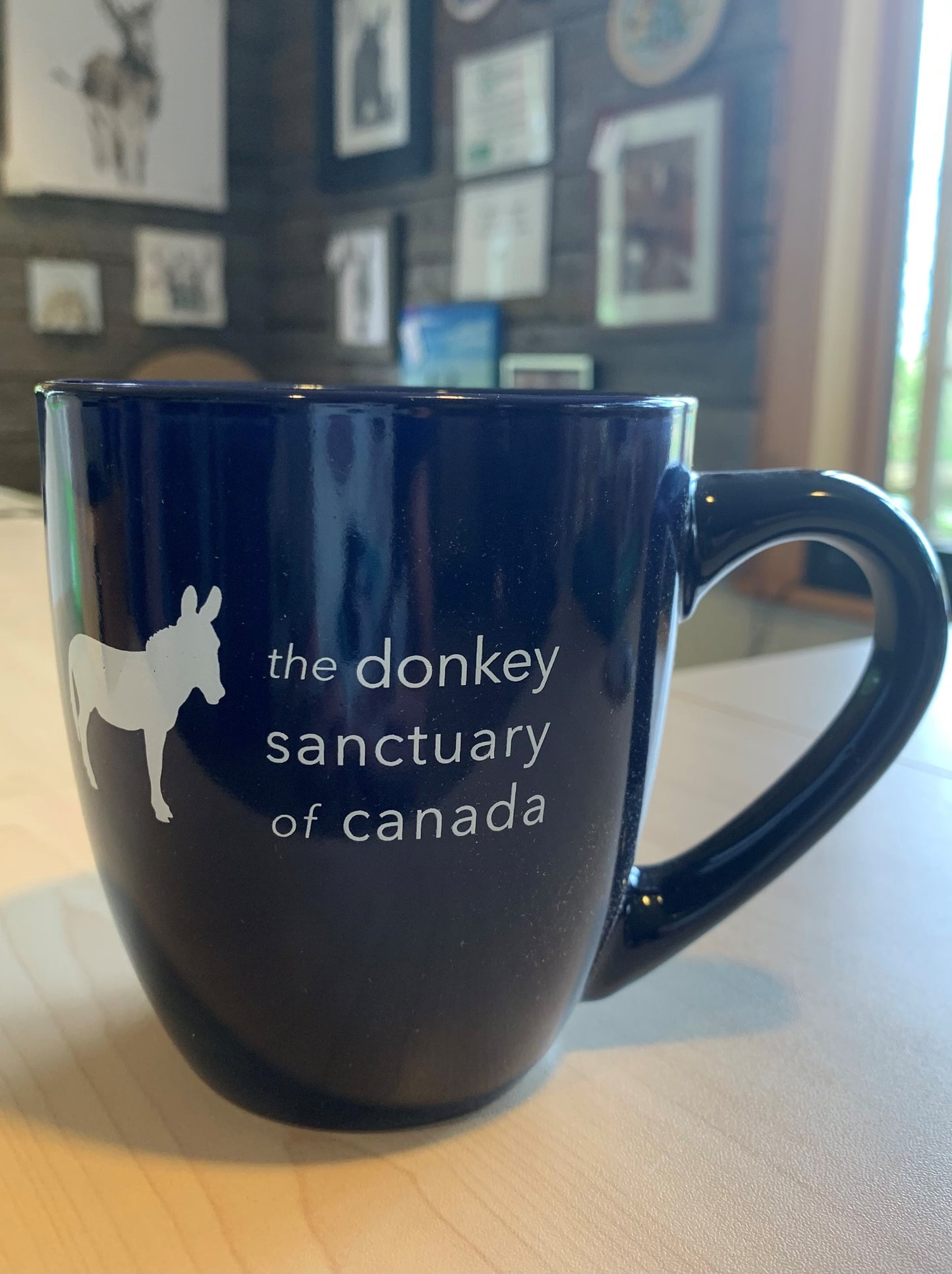 DSC Mug