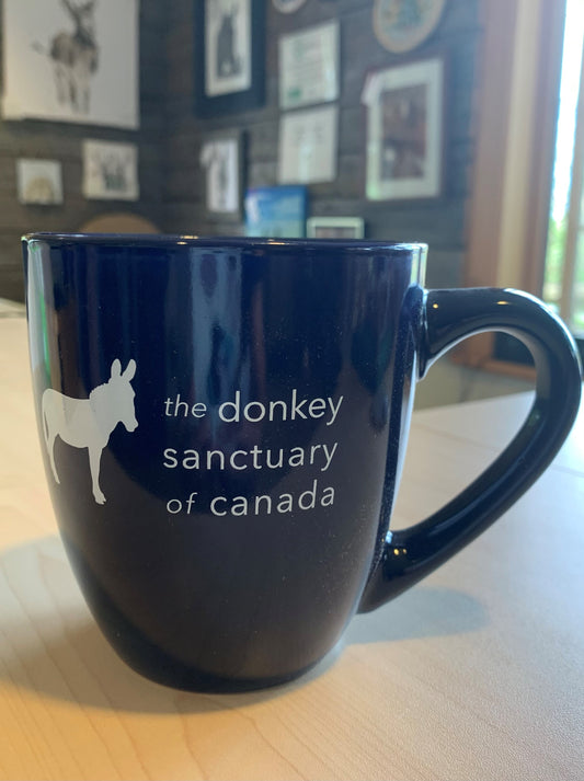 DSC Mug