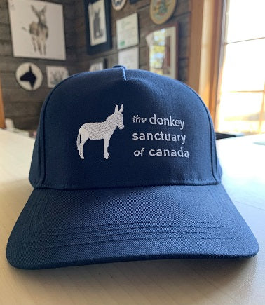 Ball Cap