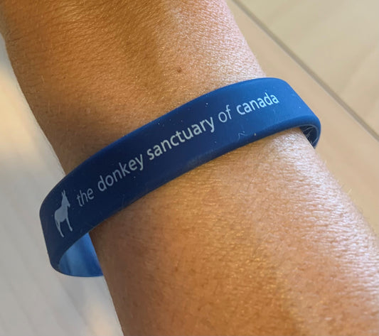 Silicone Bracelet